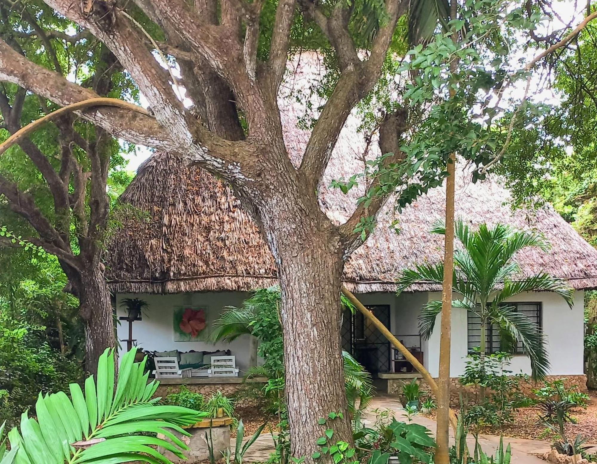 Watamu Beach Cottages Oda fotoğraf